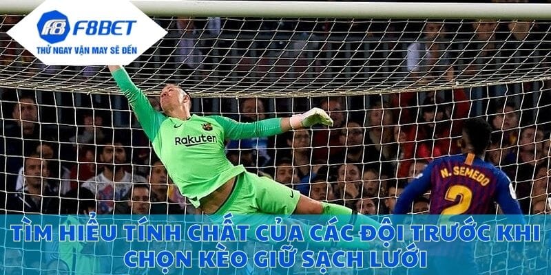 Tìm hiểu tính chất của các đội